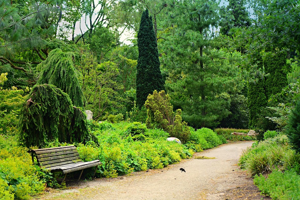 Síla meditace: Klíč k duševní pohodě