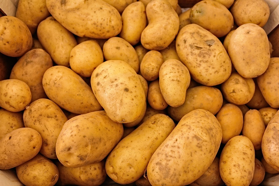 Protizánětlivá dieta: Jak vylepšit své zdraví jídlem